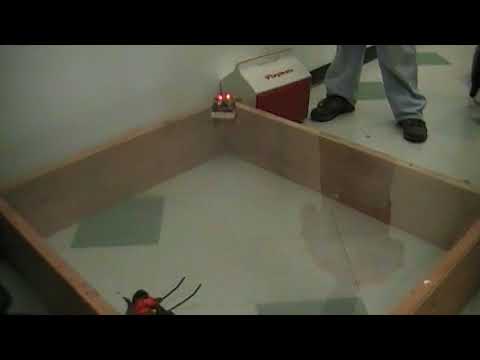 Brother Nero Vs Lemme Smash