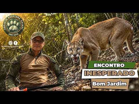 ENCONTRO INESPERADO - CONFERÊNCIA BOM JARDIM - RJ