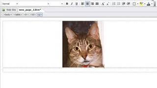 How to Put a Caption Below a Picture in HTML