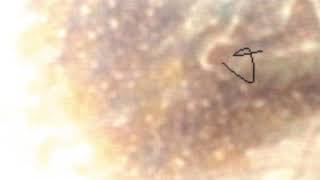 Valium Ten - Hawkwind cover