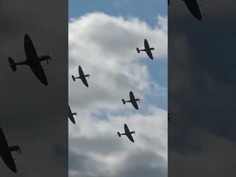 Supermarine Spitfire MkXVII - Low & Loud    #gripen #fighterjet