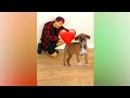 Most Sad Story EVER Shorts