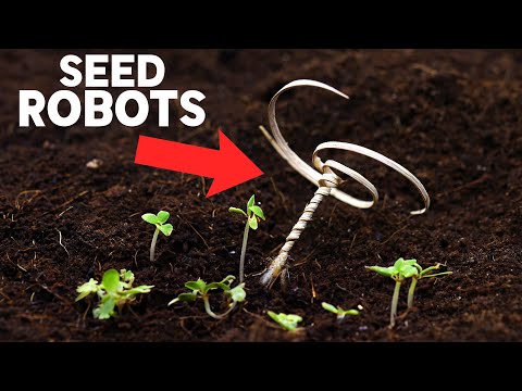 這個微型裝置可以讓整個地球重新造林 (This tiny device could reforest the entire planet)