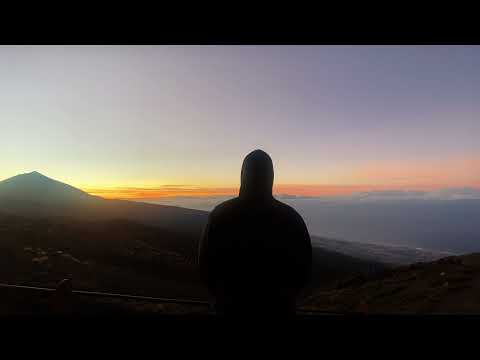 Private Paul - Statusbericht 2021