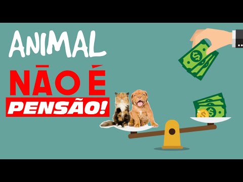 Dissecando a audiência pública sobre o PL6054/19 Animal não é coisa
