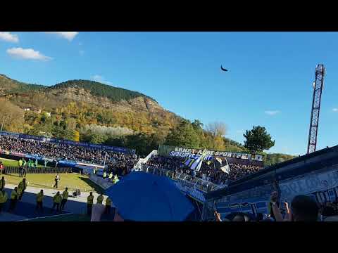 2017-10-14 - FC Carl Zeiss Jena vs. F.C. Hansa Rostock - 12. Spieltag 2017/18 - Fisch! Fisch! Fisch!