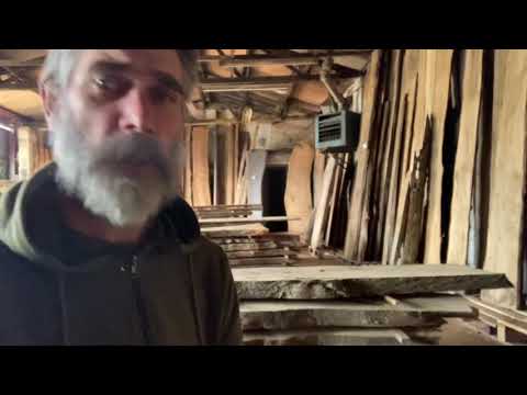 Logosol F2+ with Stihl ms661 cutting English walnut veneer!👌