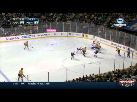 Anaheim Ducks at Nashville Predators   02\08\2014