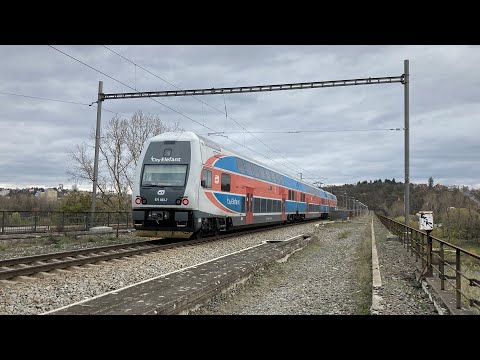 Bridge of the Intelligentsia - trains, November 17, 2020