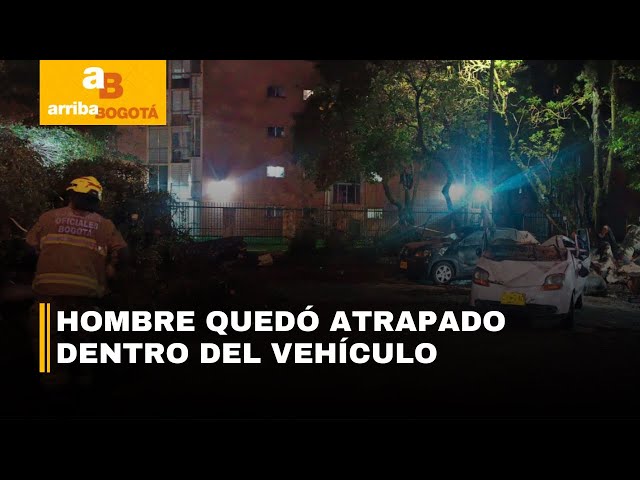 Joven se salvó de morir tras la caída de un árbol sobre su carro en Suba