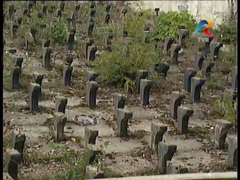 Florian Pittis & Celelalte Cuvinte - Fara cuvinte