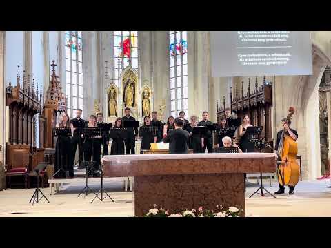 Domenico Scarlatti - Stabat Mater: 5. Sancta Mater, istud agas