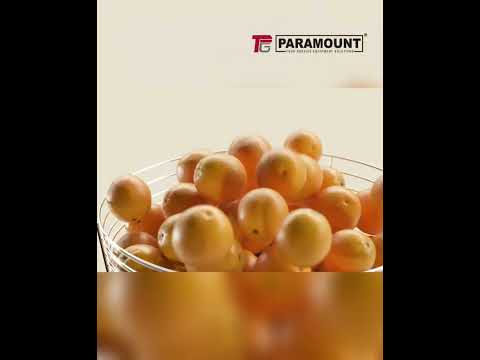 Zummo Commercial Juicers