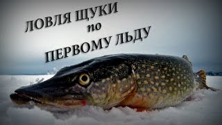 Рыбалка на флажки по первому льду
