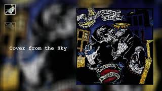 Cover from the Sky