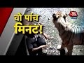 Vardaat White Tiger Mauls Youth In Delhi Zoo PT 1