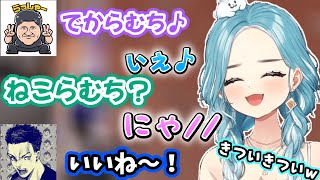 きついと言いながらもしっかり乗ってくれるねこらむち【2025/8/17】【白波らむね】