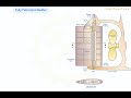 Fully Fabricated Rudder