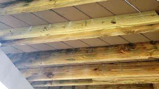 Repairing Partially Rotted Deck Joist