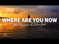 Lost Frequencies Calum Scott Where Are You Now Lyrics