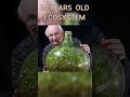 The oldest terrarium and  self-sustaining ecosystem #shorts #terrarium #experiment