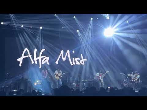 Alfa Mist - Zen Garden | VIVA Festival 2022