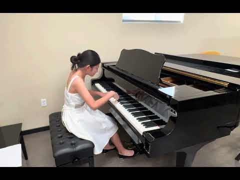 To Catch a Dream by Martha Mier-CM Level 6