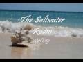 The Saltwater Room - Owl city 