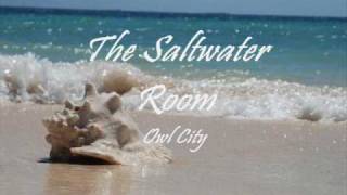 The Saltwater Room - Owl city
