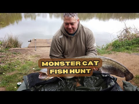 "Monster Catfish Quest: Messingham Adventure" #catfishing