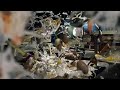 Cadbury Creme Egg Goo Dares Wins Man Wax Dare 2011 Commercial