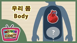 어린이 영어교육 | 우리몸 | 유아교육 | parts of the body