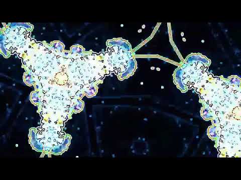 PSYCHEDELIC TRANCE | PINKY TOE |