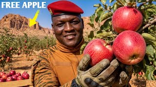 How Ibrahim Traore Is Transforming A Desert In An Apple Farm 