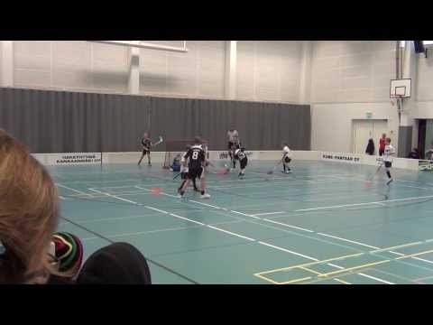 D2 Steelers Musta FoSu maalikooste