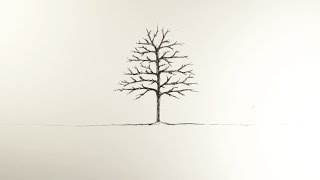 Cove Hithe - How Wild The Wind Blows [Official Music Video]