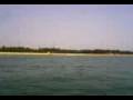 USA Freshy 2009 NIT Trichy 2