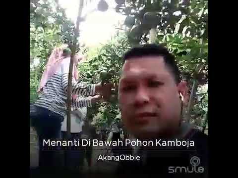 Menanti di bawah pohon kamboja_akang Obbie