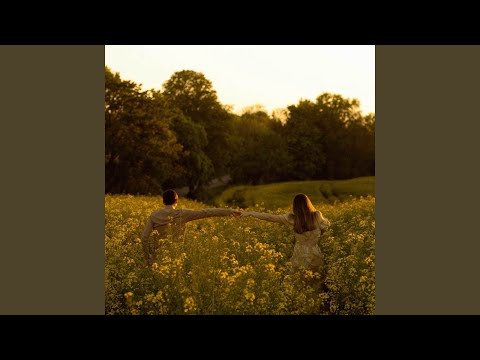 Vết bụi thời gian (几度花落时) - Cẩm Ly