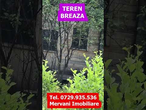 Teren intravilan 4000 mp in Breaza, Nistoresti — Video
