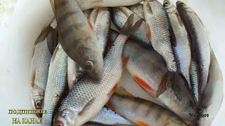 Мормышки на ельца зимой фото