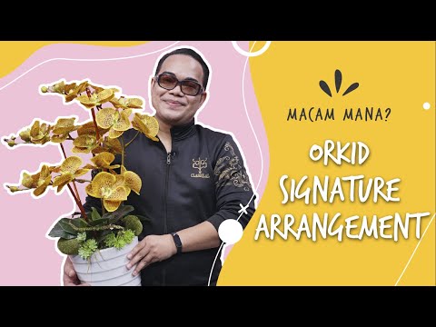 , title : 'Cara Gubah Orkid Phalaenopsis (3 Tangkai) | Macam Mana'