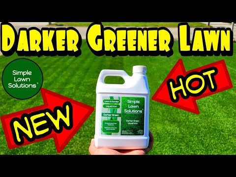 Simple Lawn Solutions New Darker Green Iron | Best Liquid Iron