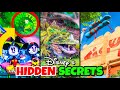 Top 7 Hidden Secrets of Extinct Walt Disney World Rides