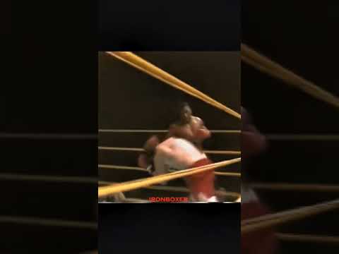 Mike Tyson can't be touched