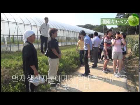 20140825바닷 바람 양배추（潮風キャベツ：韓国語版）