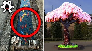 Fotos Que Demuestran Que Japón Es Un País Sorprendente