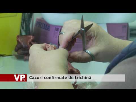 Cazuri confirmate de trichină