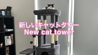 新しいキャットタワー【New cat tower】