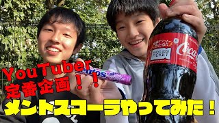 YouTuber定番企画‼メントスコーラやってみた！